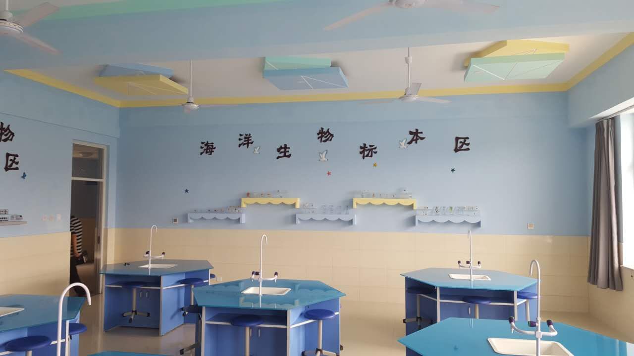 标本墙3.jpg