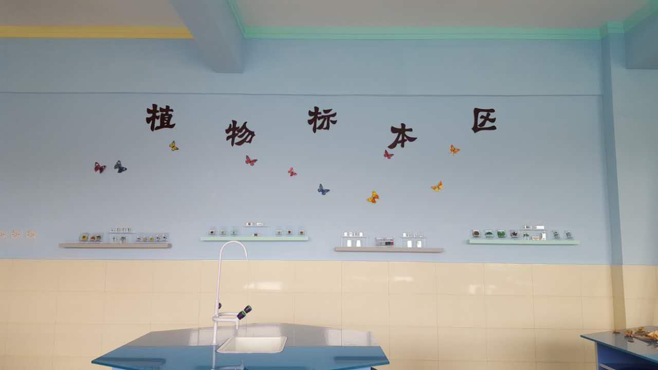 标本墙2.jpg