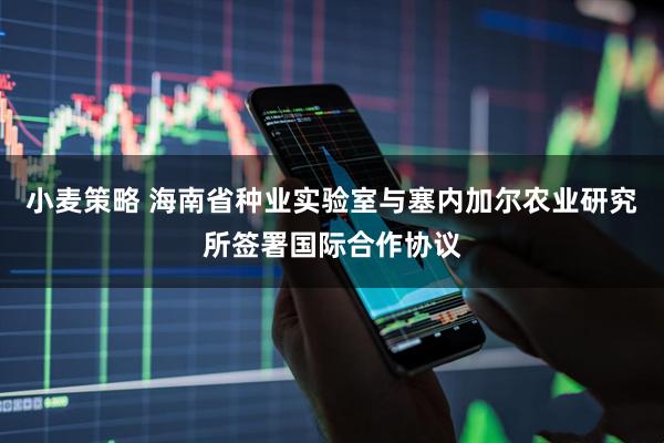小麦策略 海南省种业实验室与塞内加尔农业研究所签署国际合作协议
