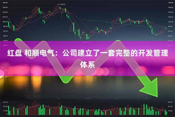红盘 和顺电气：公司建立了一套完整的开发管理体系