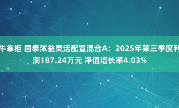 牛掌柜 国泰浓益灵活配置混合A：2025年第三季度利润187.24万元 净值增长率4.03%
