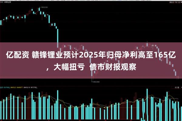 亿配资 赣锋锂业预计2025年归母净利高至165亿，大幅扭亏  债市财报观察