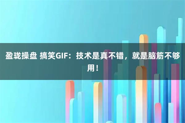 盈珑操盘 搞笑GIF：技术是真不错，就是脑筋不够用！
