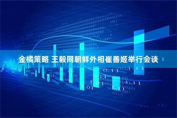 金橘策略 王毅同朝鲜外相崔善姬举行会谈